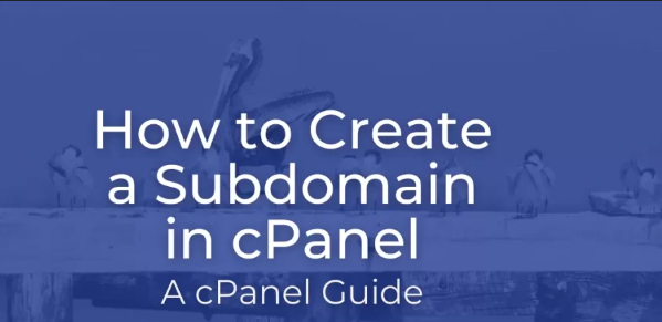 How to Set Up a Subdomain in C-Panel | Simple Instructions