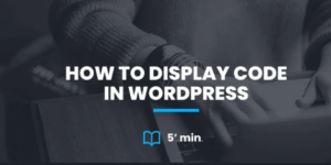 Show Code Snippets in WordPress Blog Posts with Code Blocks – NybbleHost